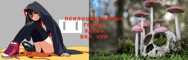 2c-b Абдулино