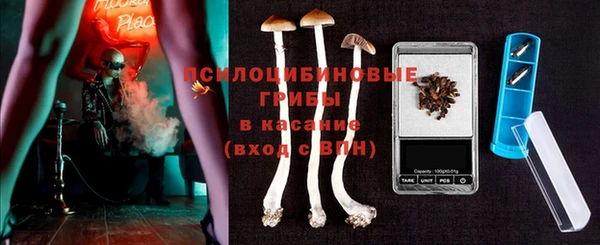 не бодяженный Алексин