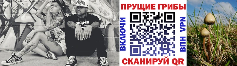 Псилоцибиновые грибы мицелий  гидра вход  Мамадыш  сколько стоит 